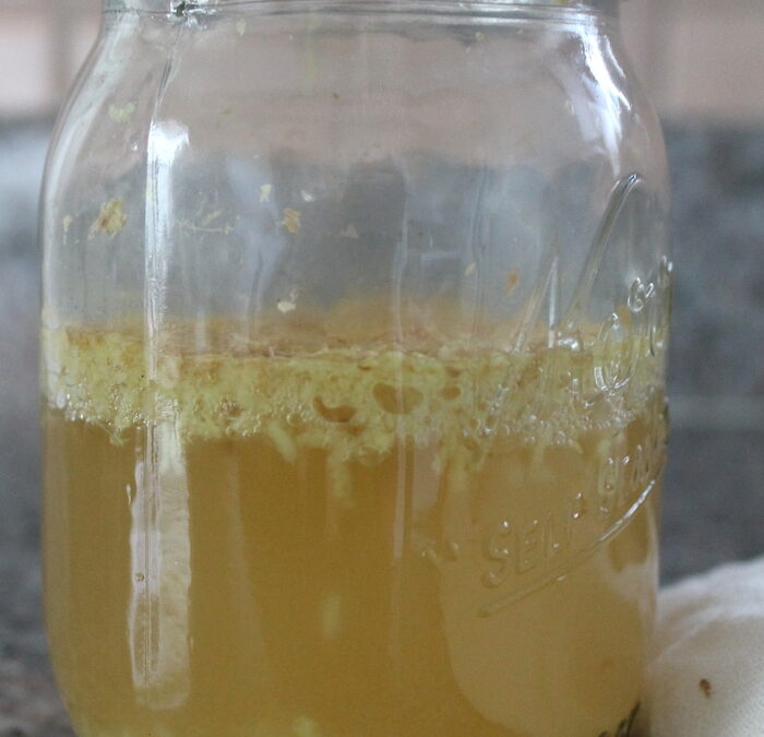 foto weckpot ginger bug buikpijn fermenteren darmflora